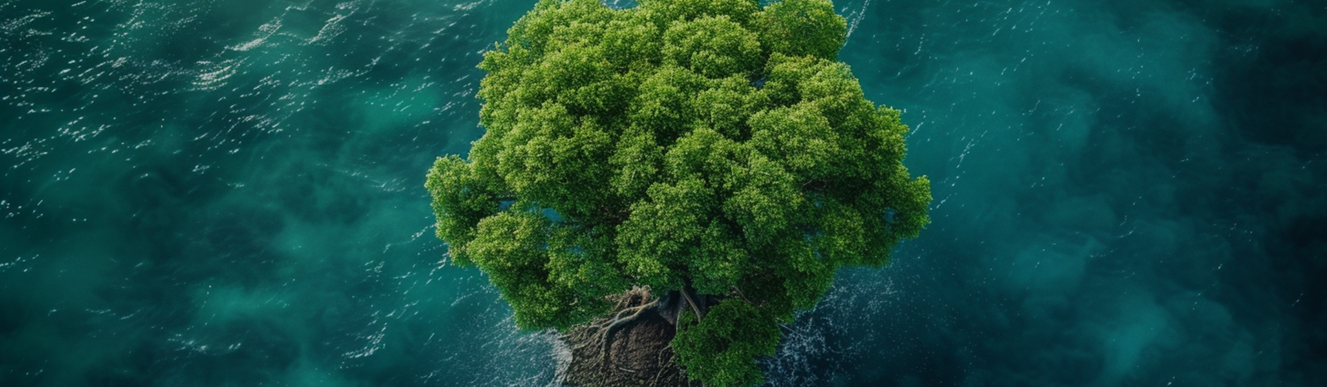 Ningbo Aikang Aluminum Foil Technology Co. , Ltd.